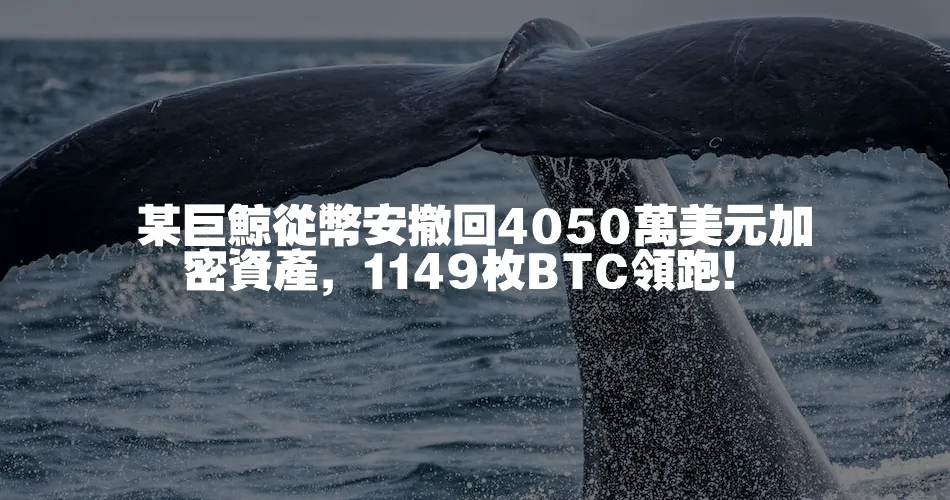 某巨鯨從幣安撤回4050萬美元加密資產，1149枚BTC領跑！
