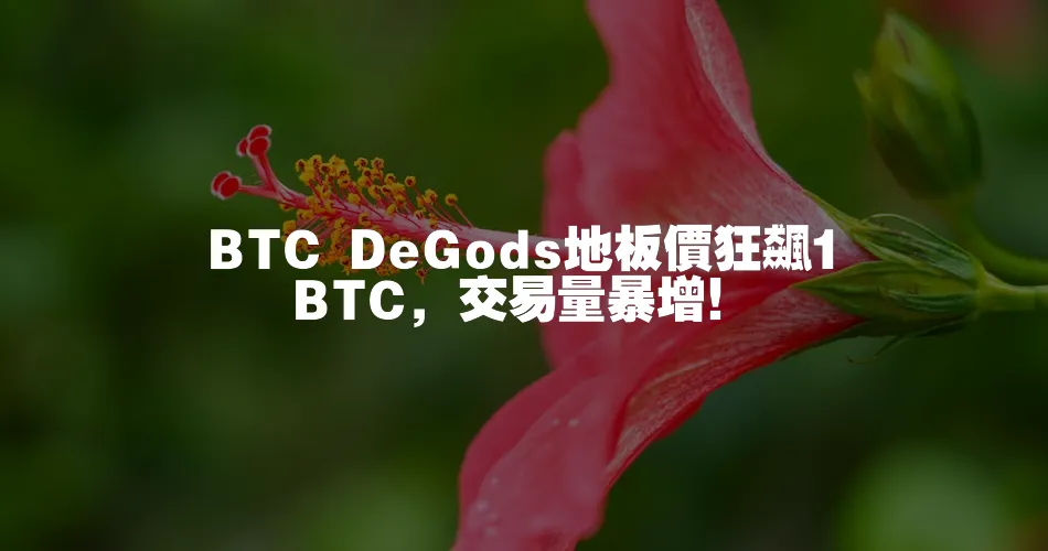 BTC DeGods地板價狂飆1BTC，交易量暴增！