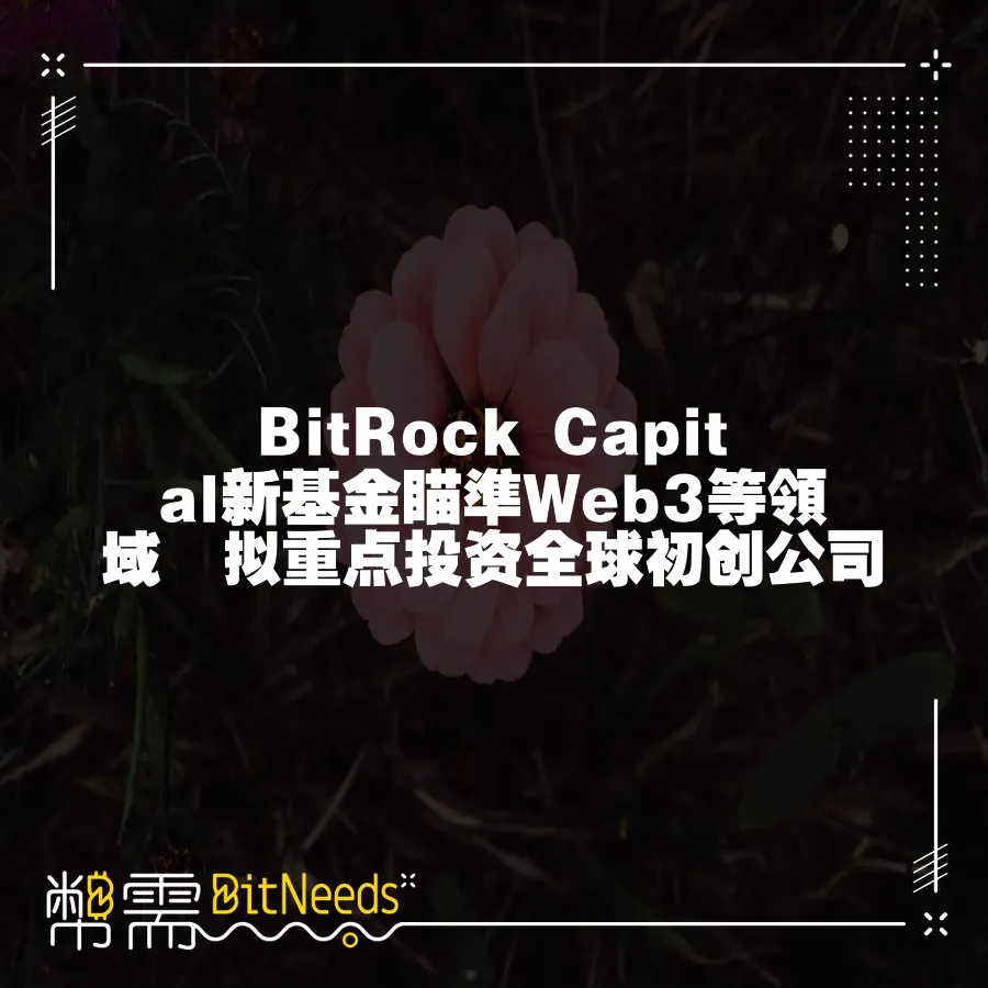 BitRock Capital新基金瞄準Web3等領域　擬重點投資全球初創公司