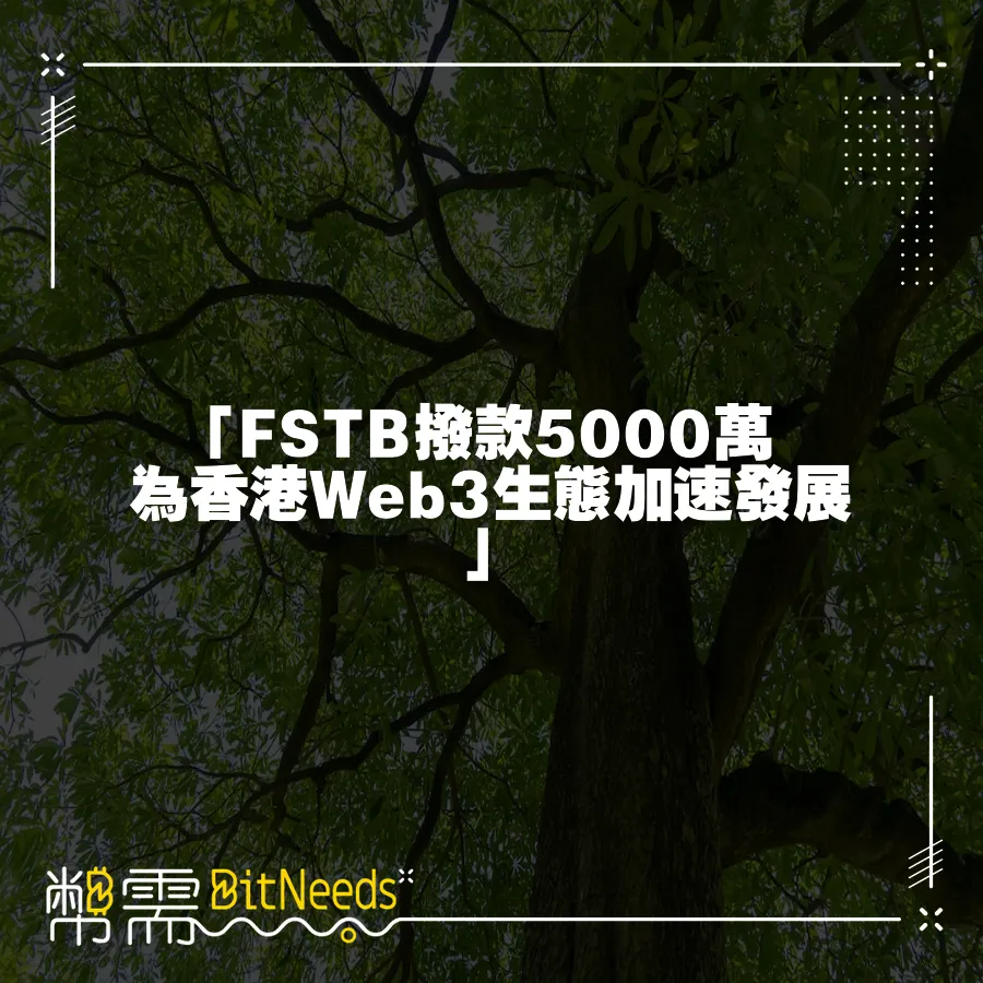 「FSTB撥款5000萬 為香港Web3生態加速發展」