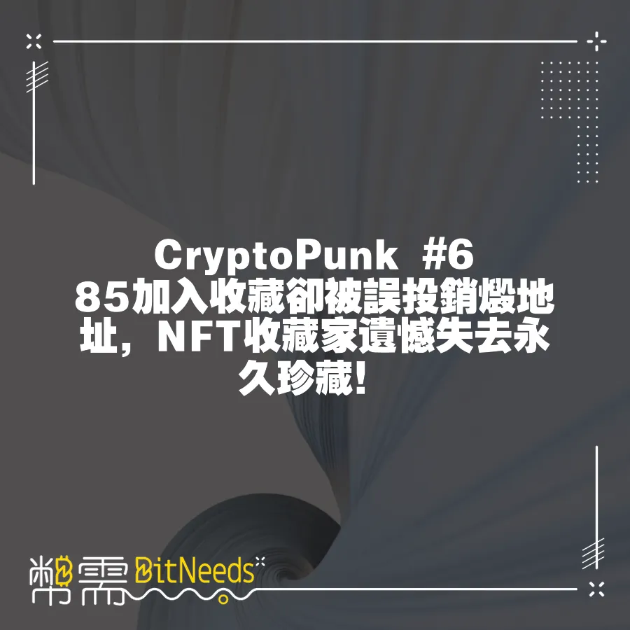 CryptoPunk #685加入收藏卻被誤投銷燬地址，NFT收藏家遺憾失去永久珍藏！