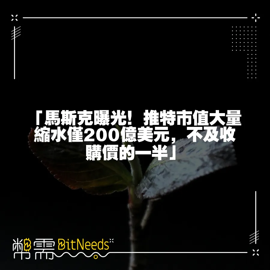 「馬斯克曝光！推特市值大量縮水僅200億美元，不及收購價的一半」