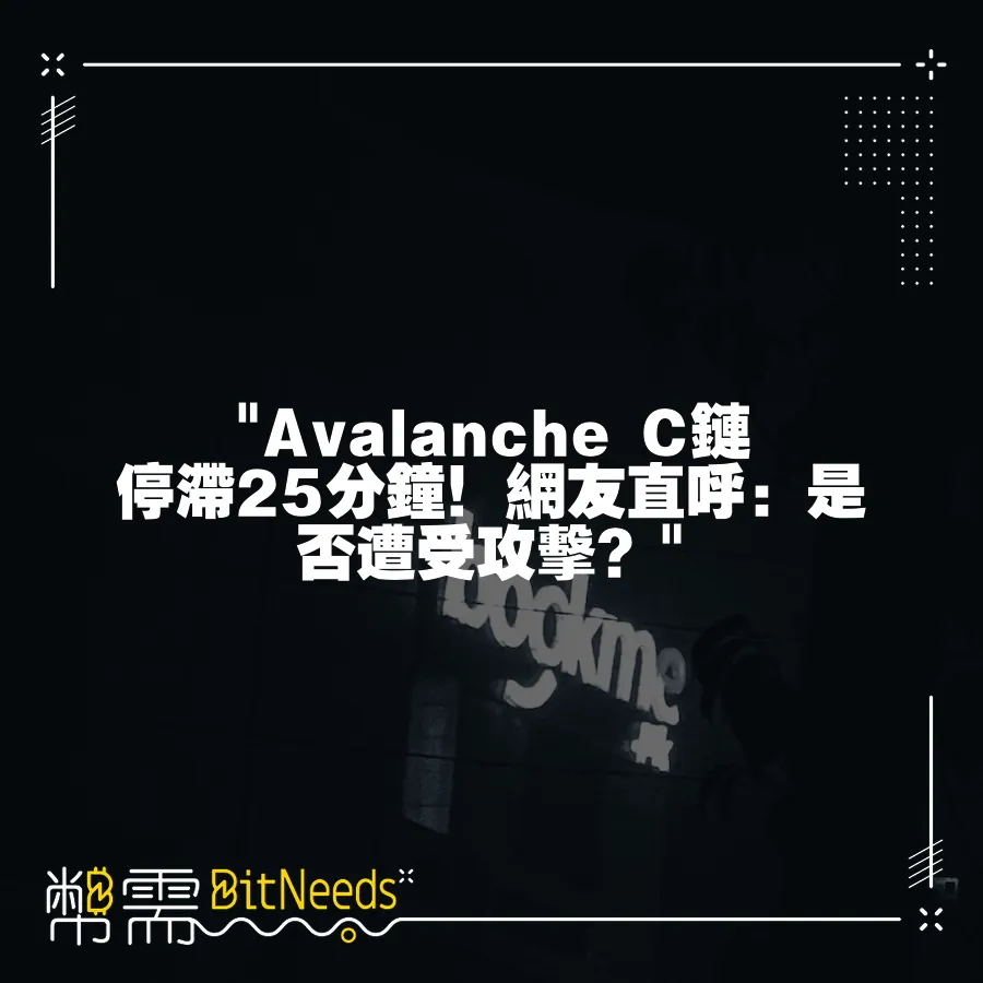  Avalanche C鏈停滯25分鐘！網友直呼：是否遭受攻擊？ 