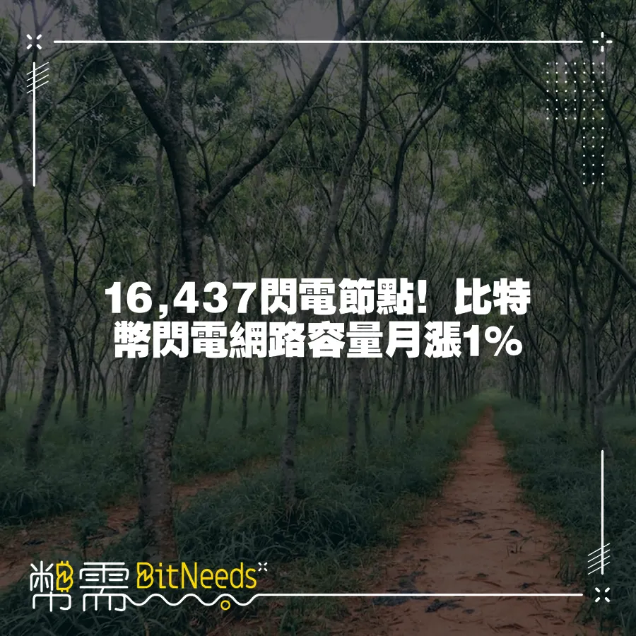 16,437閃電節點！比特幣閃電網路容量月漲1%