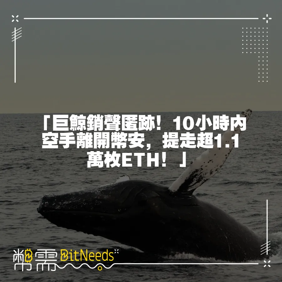 「巨鯨銷聲匿跡！10小時內空手離開幣安，提走超1.1萬枚ETH！」