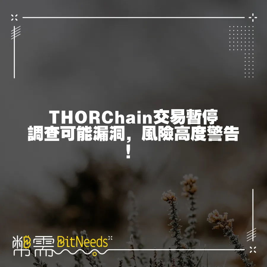 THORChain交易暫停調查可能漏洞，風險高度警告！