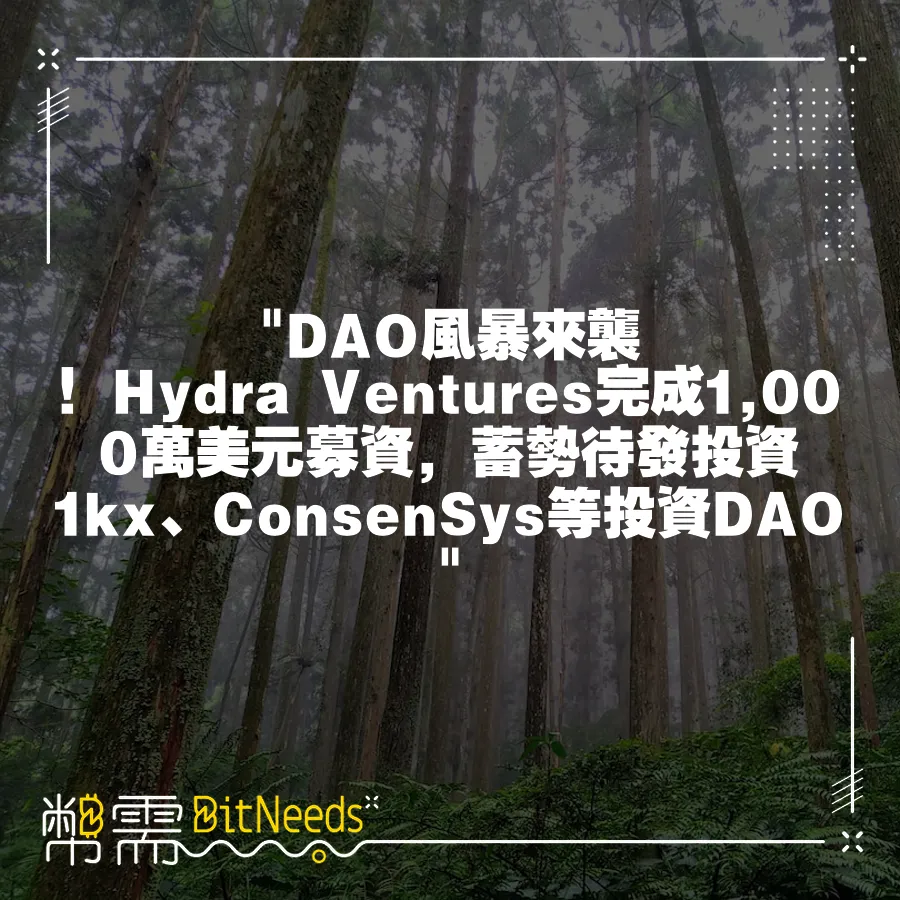  DAO風暴來襲！Hydra Ventures完成1,000萬美元募資，蓄勢待發投資1kx、ConsenSys等投資D