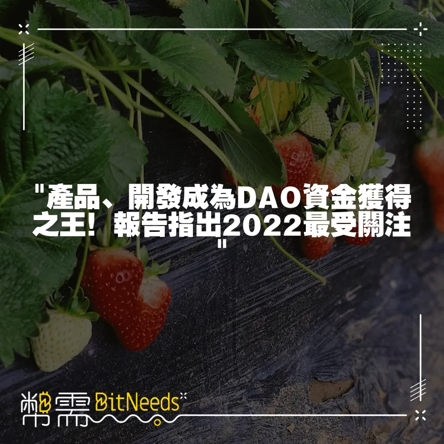  產品、開發成為DAO資金獲得之王！報告指出2022最受關注 