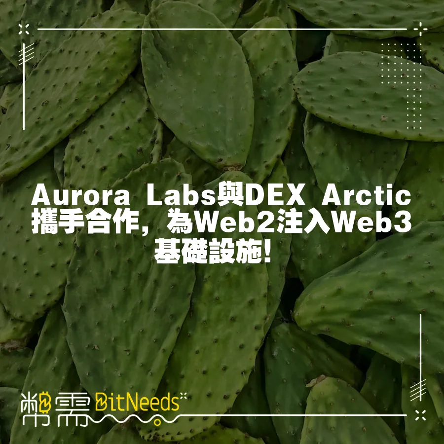 Aurora Labs與DEX Arctic攜手合作，為Web2注入Web3基礎設施！