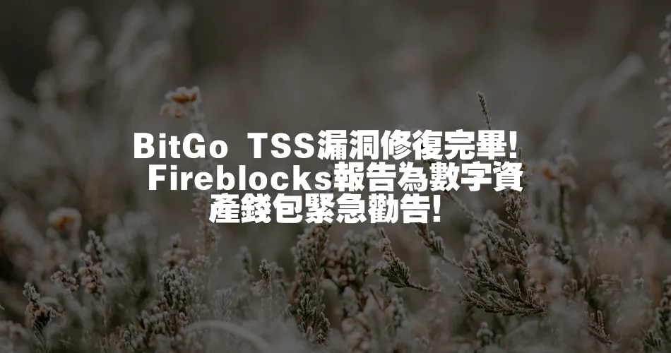 BitGo TSS漏洞修復完畢！Fireblocks報告為數字資產錢包緊急勸告！