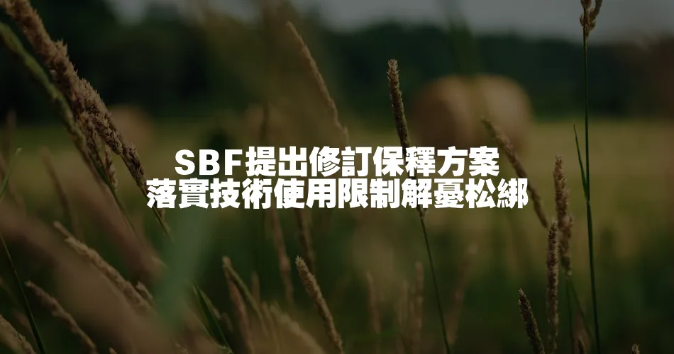 SBF提出修訂保釋方案 落實技術使用限制解憂松綁