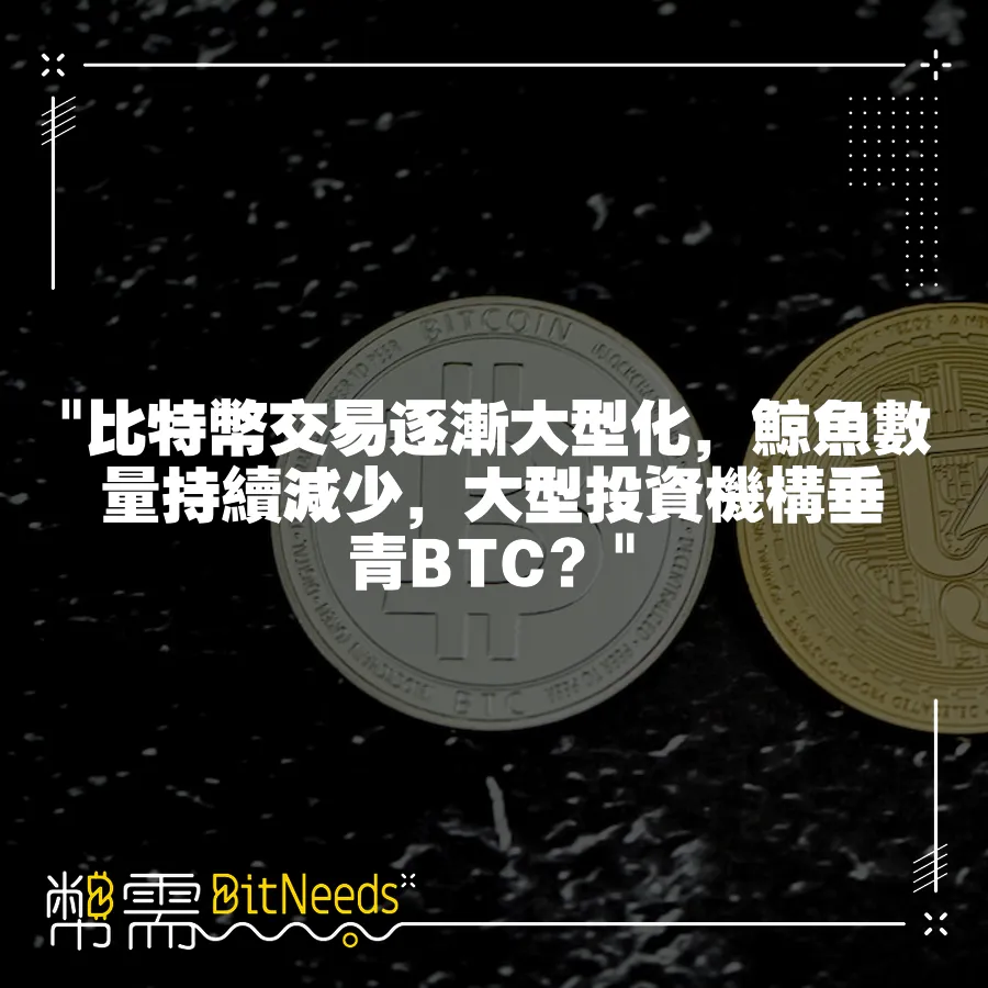  比特幣交易逐漸大型化，鯨魚數量持續減少，大型投資機構垂青BTC？ 