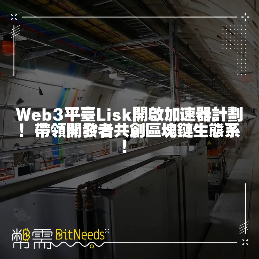 Web3平臺Lisk開啟加速器計劃！帶領開發者共創區塊鏈生態系！