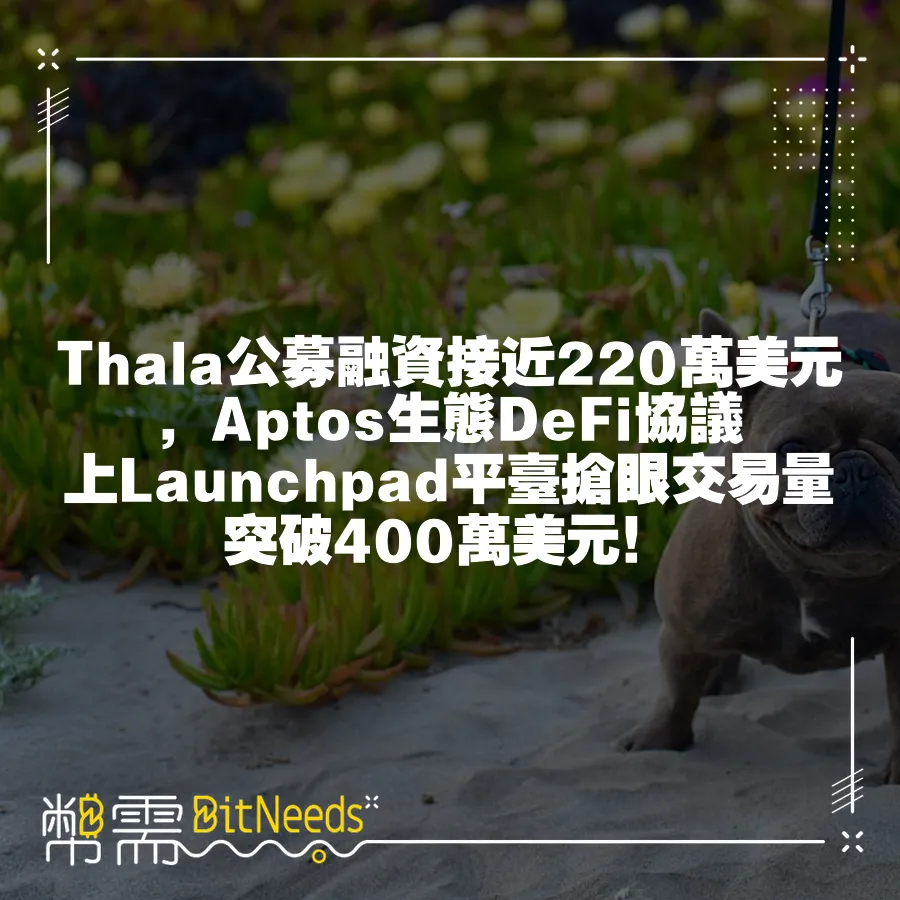 Thala公募融資接近220萬美元，Aptos生態DeFi協議上Launchpad平臺搶眼交易量突破400萬美元！