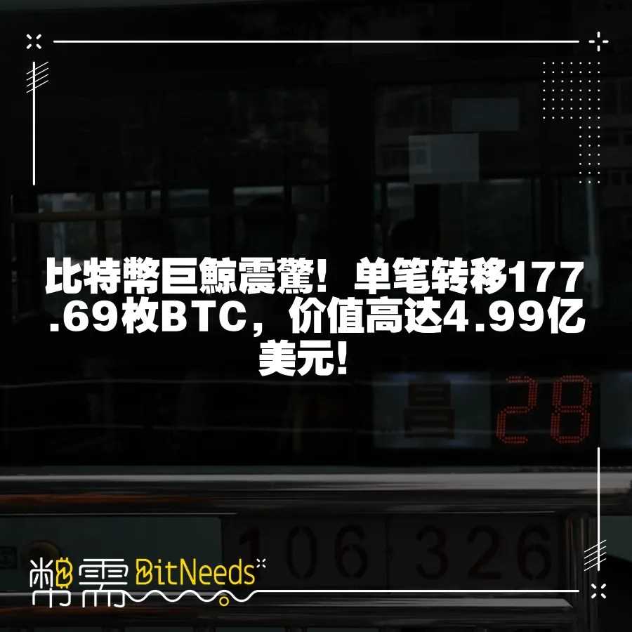 比特幣巨鯨震驚！單筆轉移177.69枚BTC，價值高達4.99億美元！