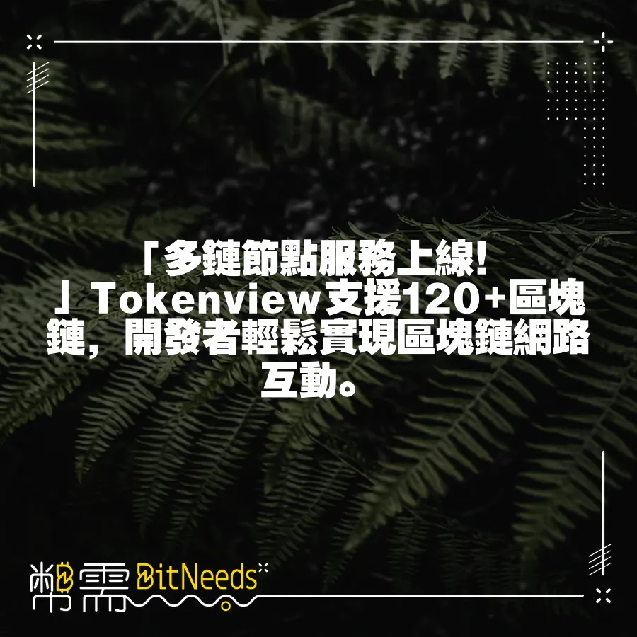 「多鏈節點服務上線！」Tokenview支援120+區塊鏈，開發者輕鬆實現區塊鏈網路互動。