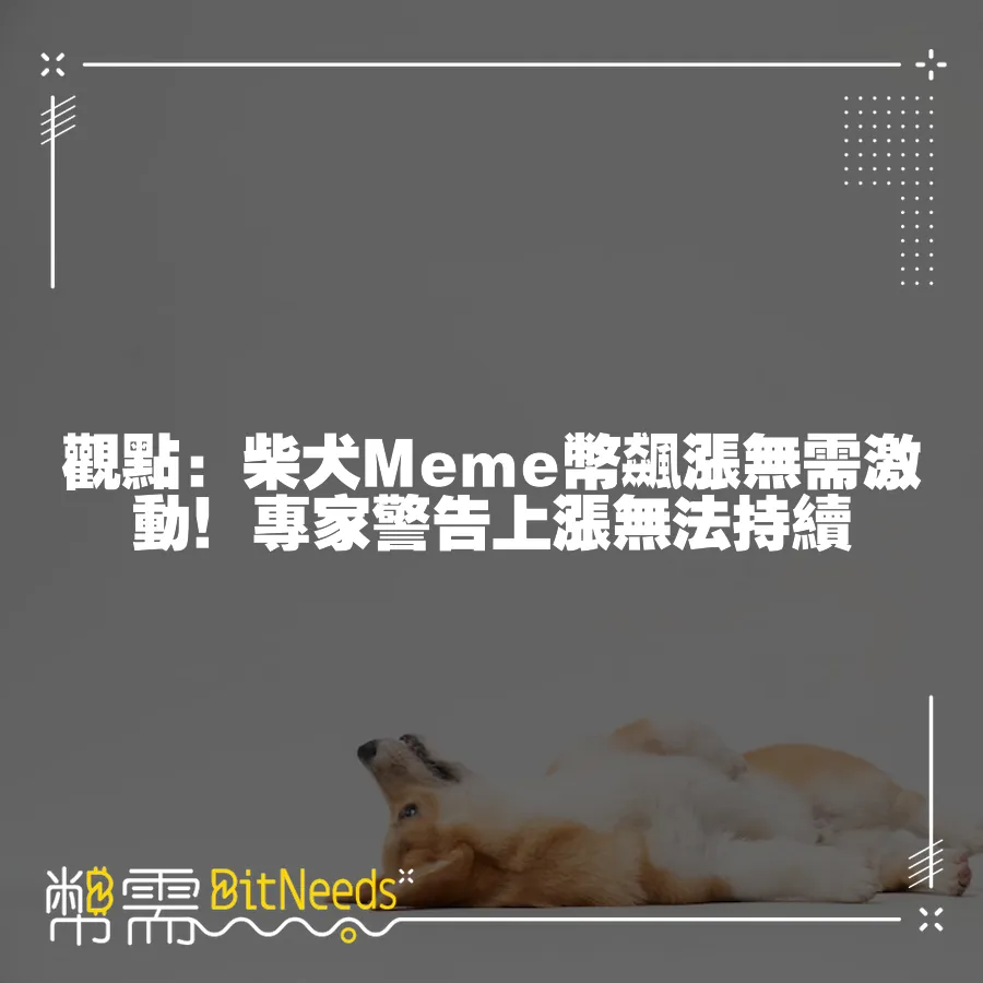 觀點：柴犬Meme幣飆漲無需激動！專家警告上漲無法持續