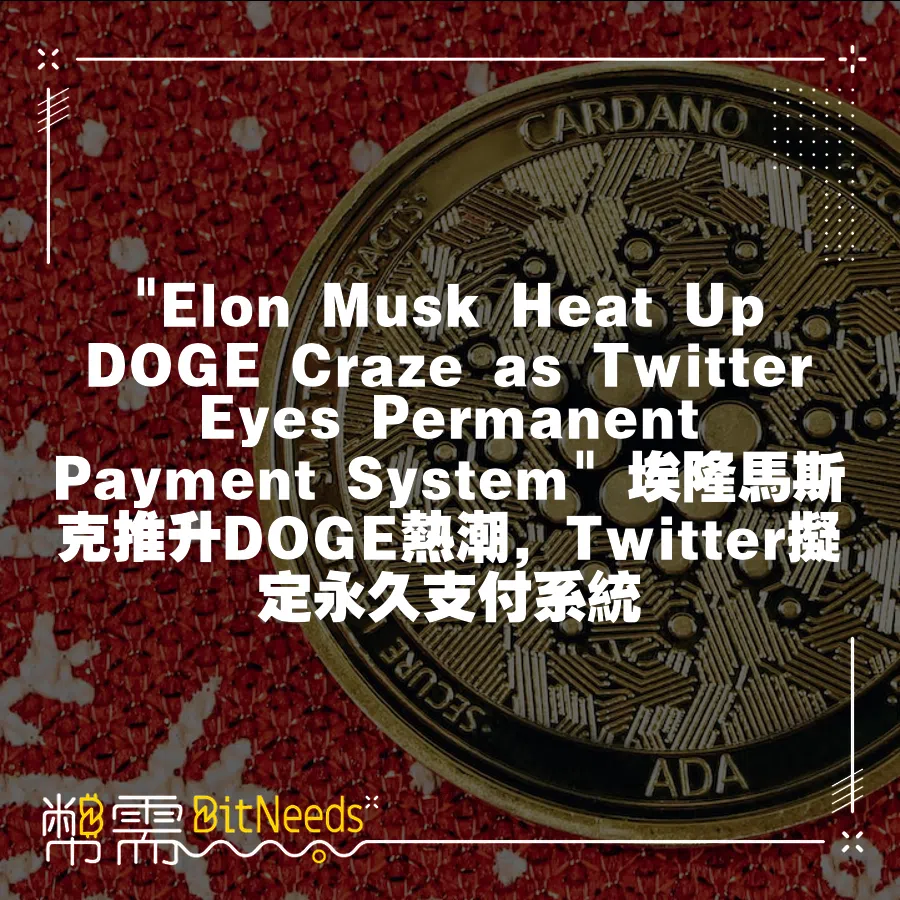  Elon Musk Heat Up DOGE Craze as Twitter Eyes Permanent Pay