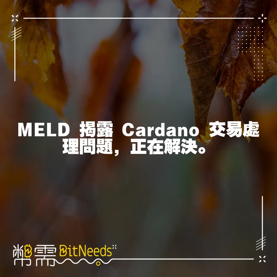 MELD 揭露 Cardano 交易處理問題，正在解決。