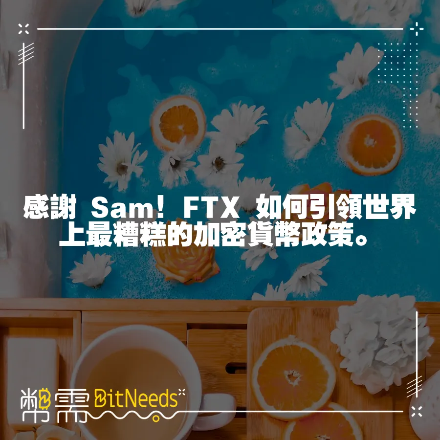 感謝 Sam！FTX 如何引領世界上最糟糕的加密貨幣政策。