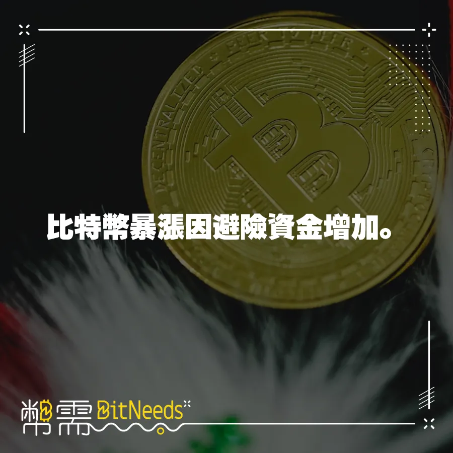 比特幣暴漲因避險資金增加。