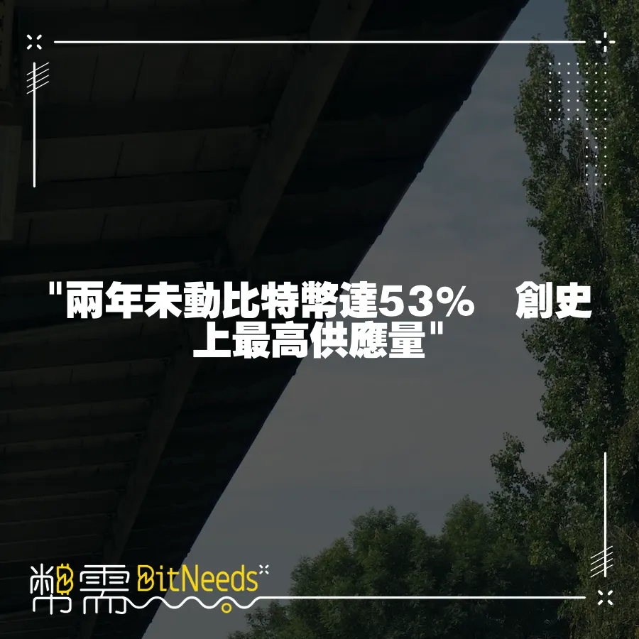  兩年未動比特幣達53%  創史上最高供應量 